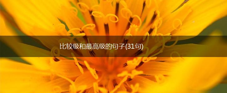 比较级和最高级的句子(31句),第1张