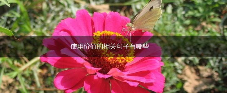 使用价值的相关句子有哪些,第1张 使用价值的相关句子有哪些,第1张