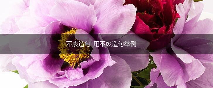 不废造句_用不废造句举例,第1张 不废造句_用不废造句举例,第1张