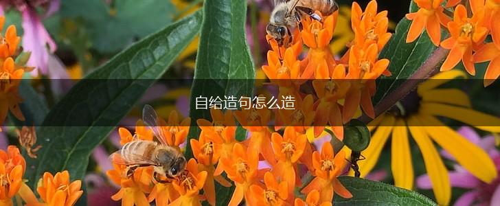 自给造句怎么造,第1张 自给造句怎么造,第1张