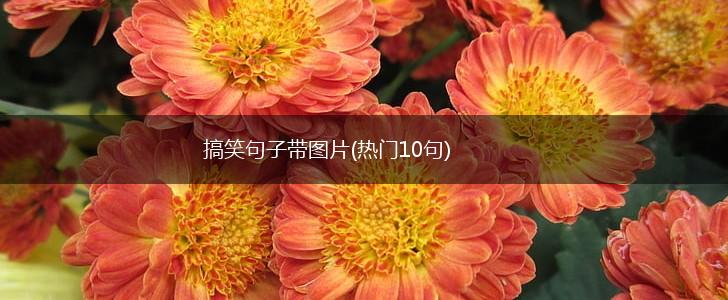 搞笑句子带图片(热门10句),第1张