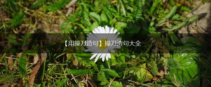 【用操刀造句】操刀造句大全,第1张 【用操刀造句】操刀造句大全,第1张