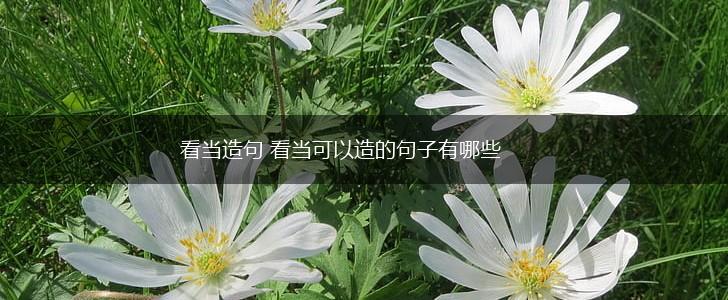 看当造句 看当可以造的句子有哪些,第1张 看当造句 看当可以造的句子有哪些,第1张