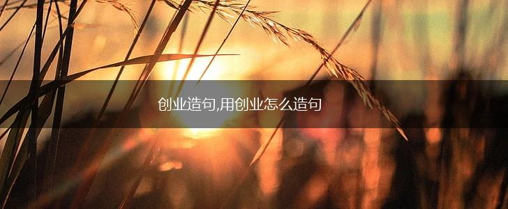 创业造句,用创业怎么造句,第1张