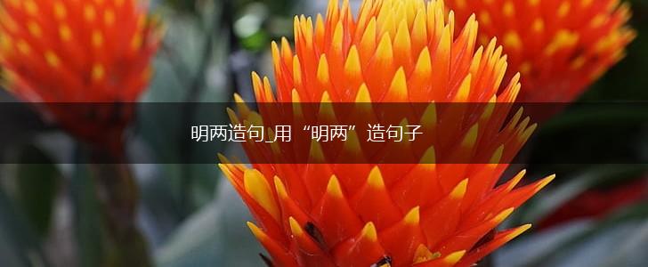 明两造句_用“明两”造句子,第1张 明两造句_用“明两”造句子,第1张