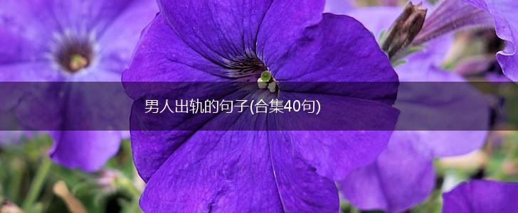 男人出轨的句子(合集40句),第1张