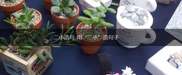 二小造句_用“二小”造句子,第1张