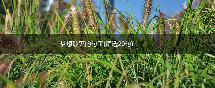 梦想破灭的句子(精选20句),第1张