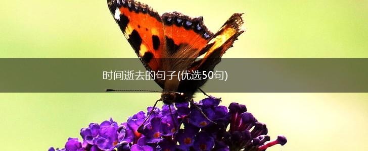 时间逝去的句子(优选50句),第1张