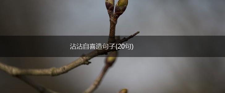 沾沾自喜造句子(20句),第1张