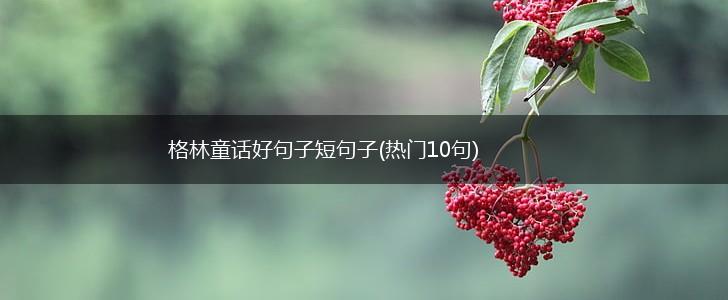 格林童话好句子短句子(热门10句),第1张