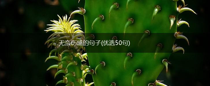 无奈伤感的句子(优选50句),第1张