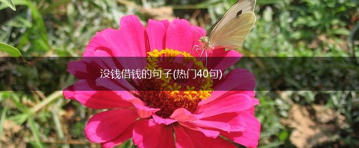 没钱借钱的句子(热门40句),第1张