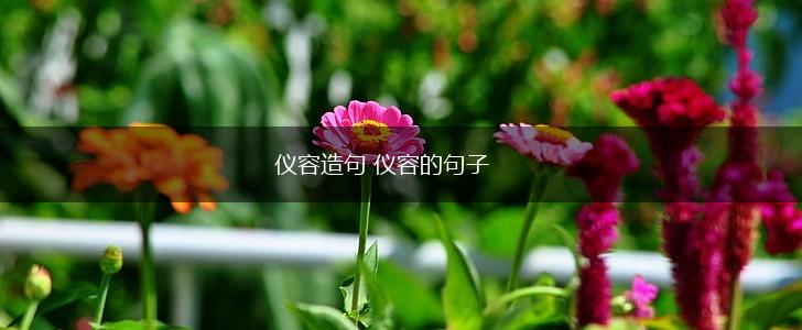 仪容造句 仪容的句子,第1张 仪容造句 仪容的句子,第1张