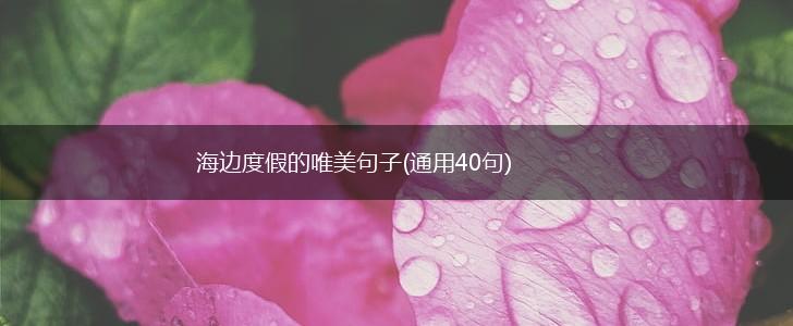 海边度假的唯美句子(通用40句),第1张