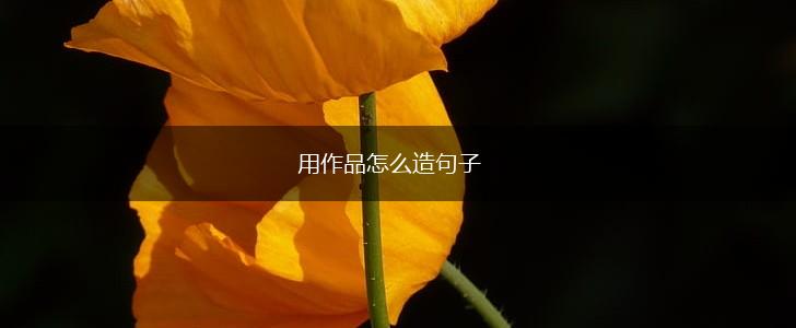 用作品怎么造句子,第1张 用作品怎么造句子,第1张
