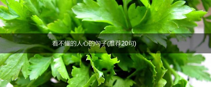 看不懂的人心的句子(推荐20句),第1张