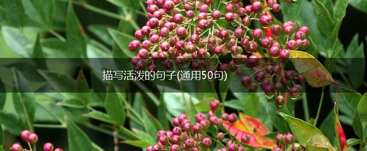 描写活泼的句子(通用50句),第1张