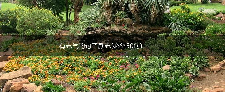 有志气的句子励志(必备50句),第1张