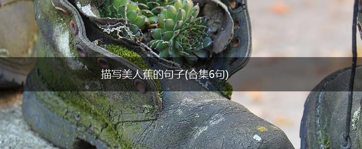 描写美人蕉的句子(合集6句),第1张