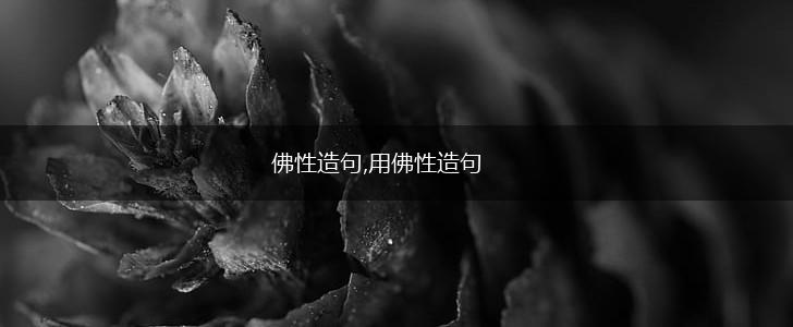 佛性造句,用佛性造句,第1张 佛性造句,用佛性造句,第1张
