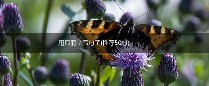 用只要就写句子(推荐50句),第1张