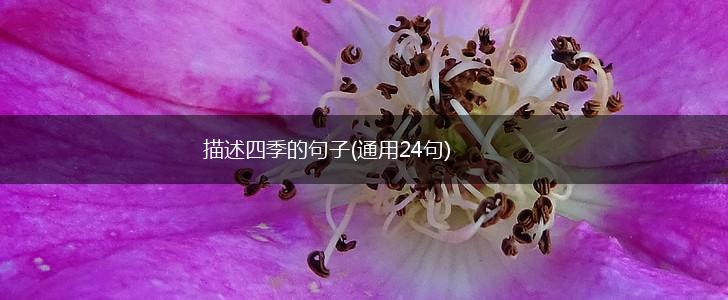 描述四季的句子(通用24句),第1张