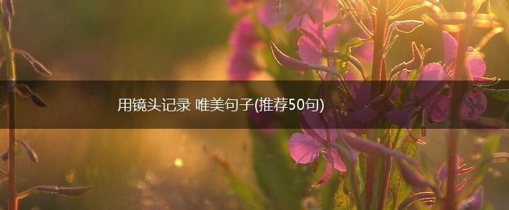 用镜头记录 唯美句子(推荐50句),第1张
