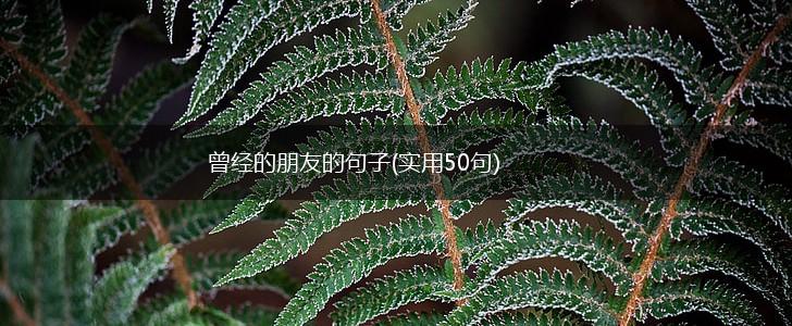 曾经的朋友的句子(实用50句),第1张