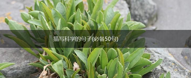 描写科学的句子(必备50句),第1张