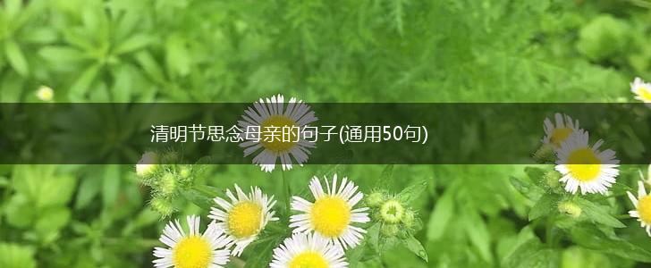 清明节思念母亲的句子(通用50句),第1张