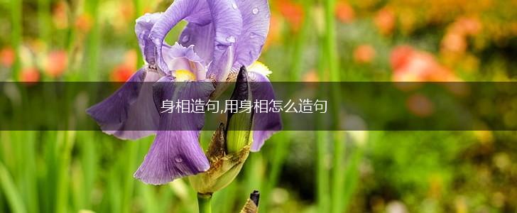 身相造句,用身相怎么造句,第1张 身相造句,用身相怎么造句,第1张