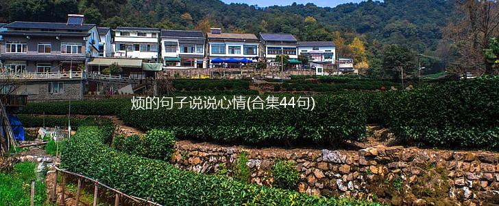 烦的句子说说心情(合集44句),第1张