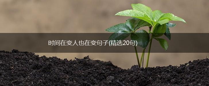 时间在变人也在变句子(精选20句),第1张