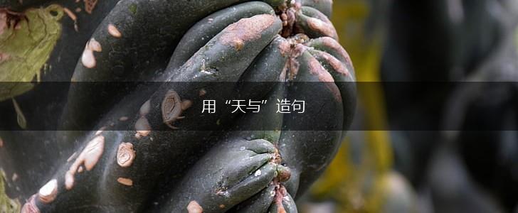 用“天与”造句,第1张