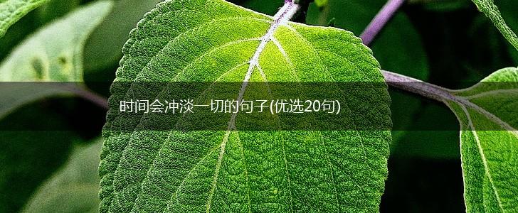 时间会冲淡一切的句子(优选20句),第1张