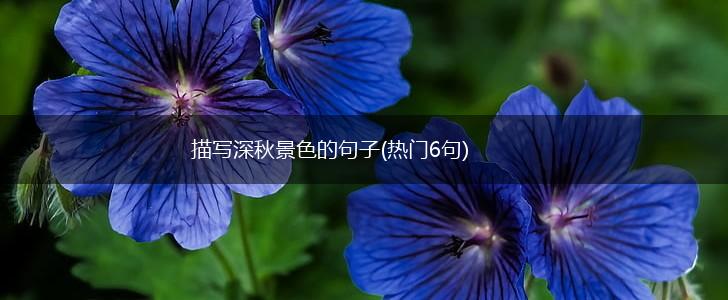 描写深秋景色的句子(热门6句),第1张