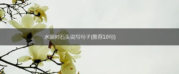 水滴对石头说写句子(推荐10句),第1张