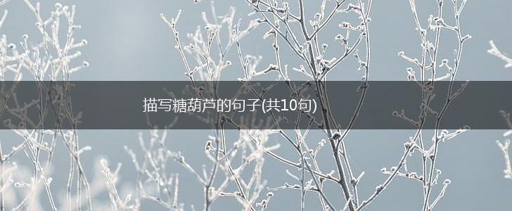 描写糖葫芦的句子(共10句),第1张