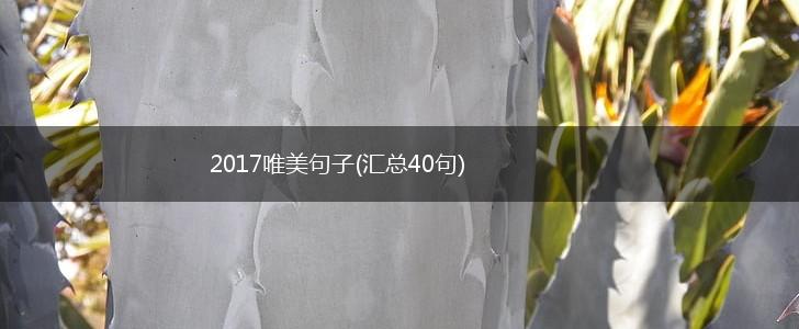 2017唯美句子(汇总40句),第1张