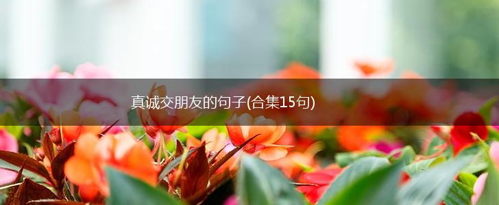 真诚交朋友的句子(合集15句),第1张