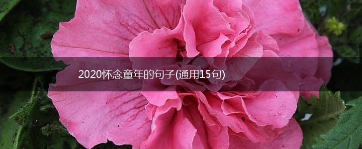 2020怀念童年的句子(通用15句),第1张