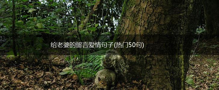 给老婆的留言爱情句子(热门50句),第1张