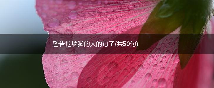 警告挖墙脚的人的句子(共50句),第1张