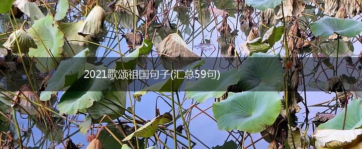 2021歌颂祖国句子(汇总59句),第1张