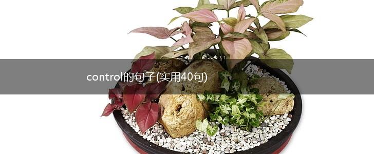control的句子(实用40句),第1张