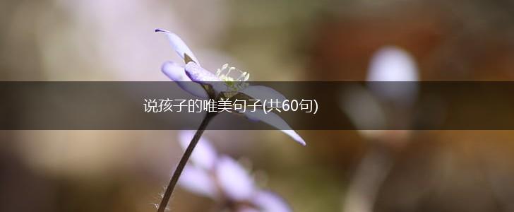 说孩子的唯美句子(共60句),第1张