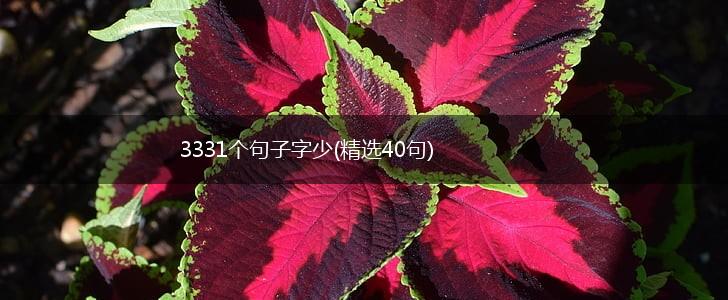 3331个句子字少(精选40句),第1张
