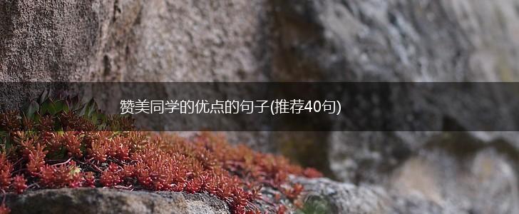 赞美同学的优点的句子(推荐40句),第1张