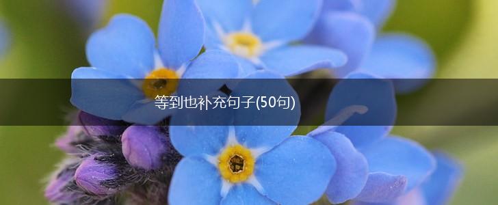 等到也补充句子(50句),第1张